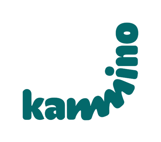 Kamino